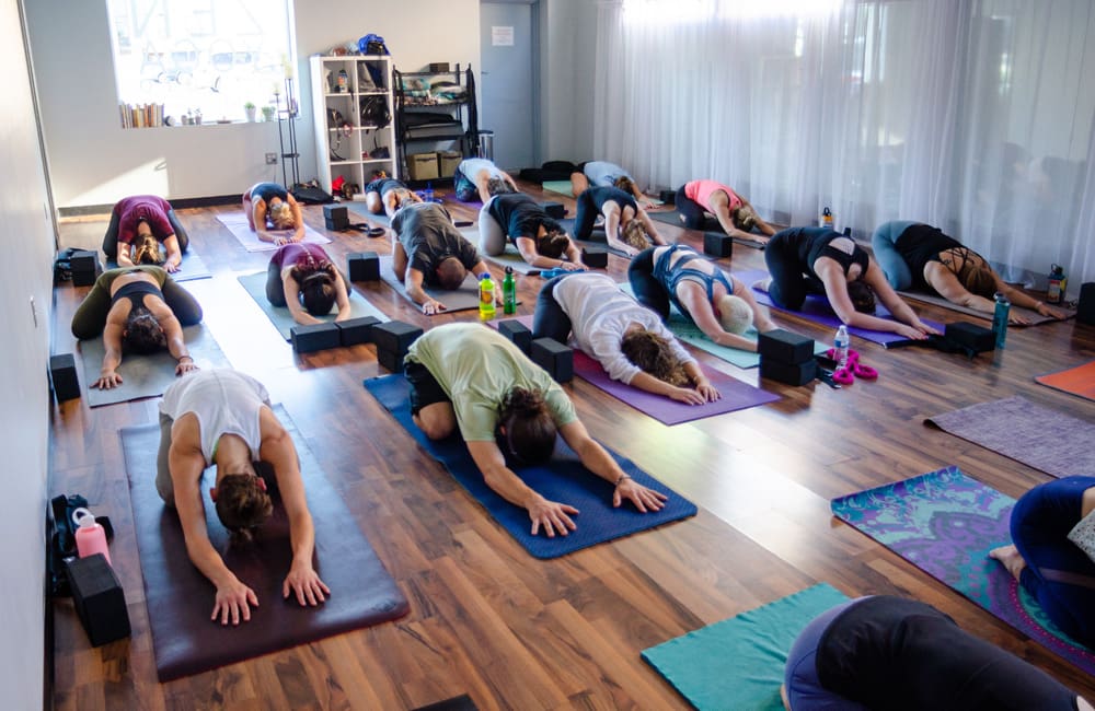 Online Yoga Teacher Training In Dubai 200 Hour Yoga TTC Online