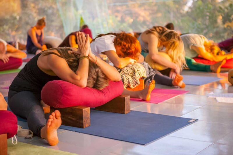 Online Yoga Teacher Training In Brampton