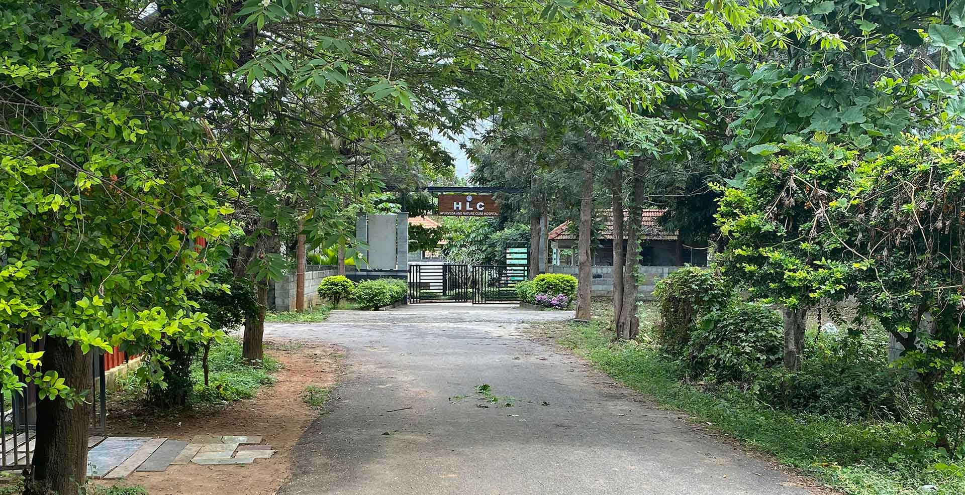 HLC Ayurveda Nature Cure In Bangalore