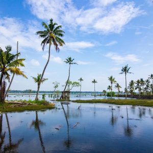 kerala retreat packages,kerala ayurveda resorts packages,luxury ayurveda resorts in kerala,top ayurvedic resorts in kerala
