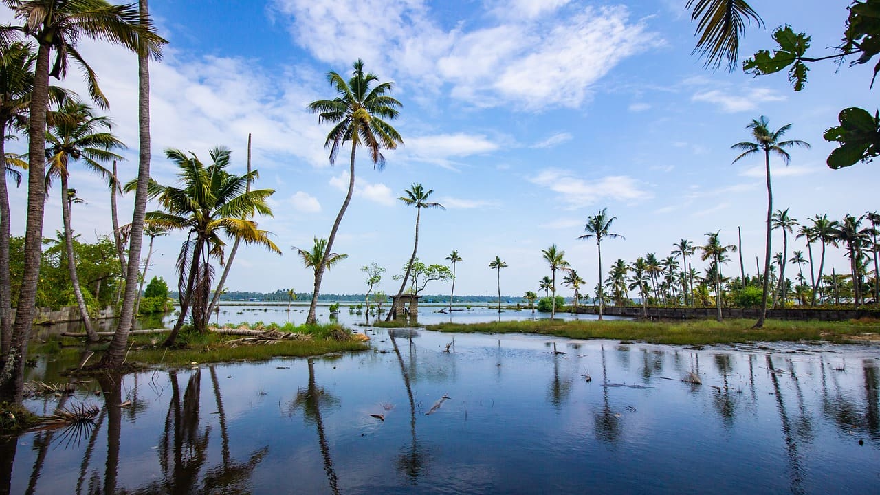 kerala retreat packages,kerala ayurveda resorts packages,luxury ayurveda resorts in kerala,top ayurvedic resorts in kerala