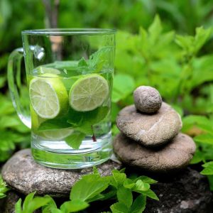 kerala detox retreat,kerala detox treatment