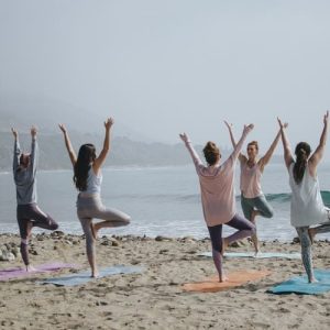 100 hour yoga training rishikesh