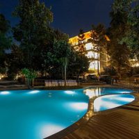 the punarnava Dehradun